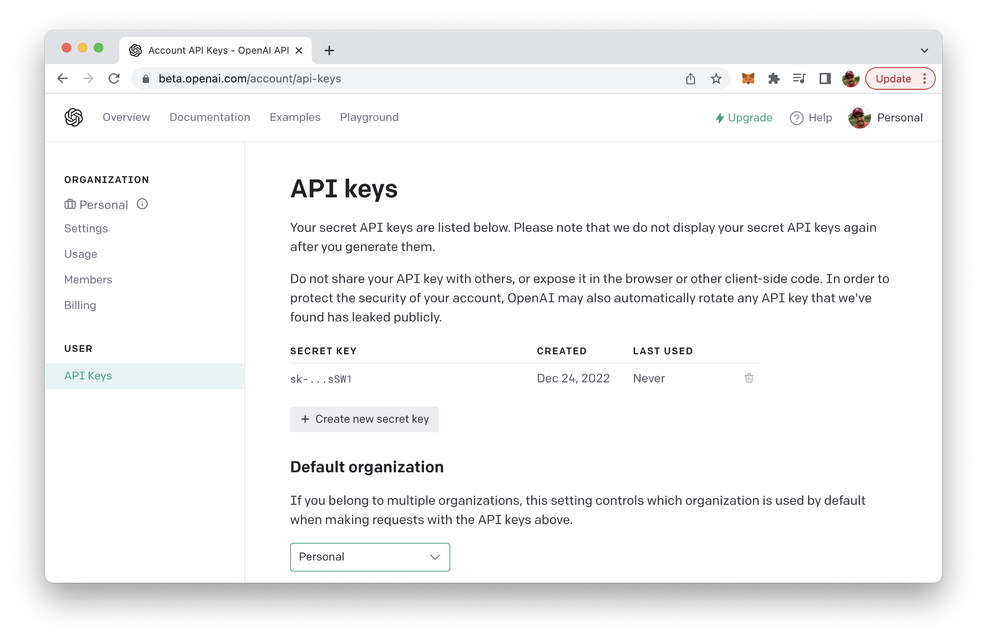 Accesing the OpenAI API Key